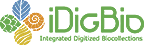 iDigBio